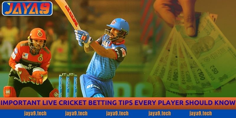 Live Cricket Betting Guide - Expert Tips to Win | JAJA9 3 Important Live Cricket Betting Tips Every Player Should Know