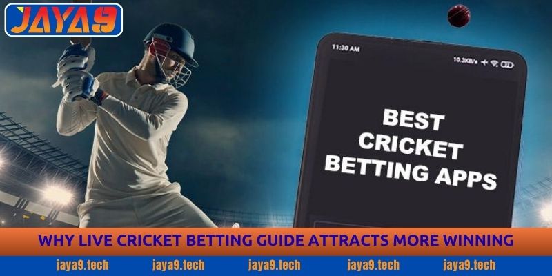 Live Cricket Betting Guide - Expert Tips to Win | JAJA9 1 Why Live Cricket Betting Guide Attracts More Winning
